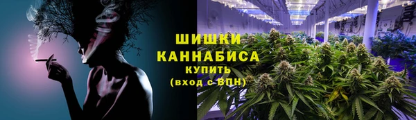 прущие грибы Вяземский