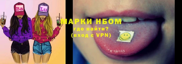 прущие грибы Вяземский