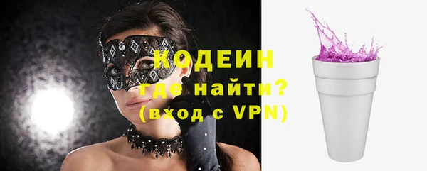 прущие грибы Вяземский