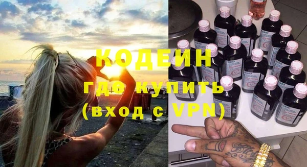 прущие грибы Вяземский