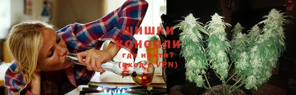 apvp Вязьма