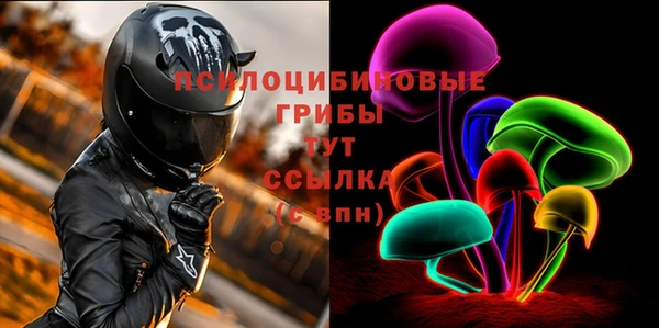 прущие грибы Вяземский