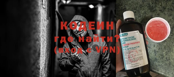 прущие грибы Вяземский