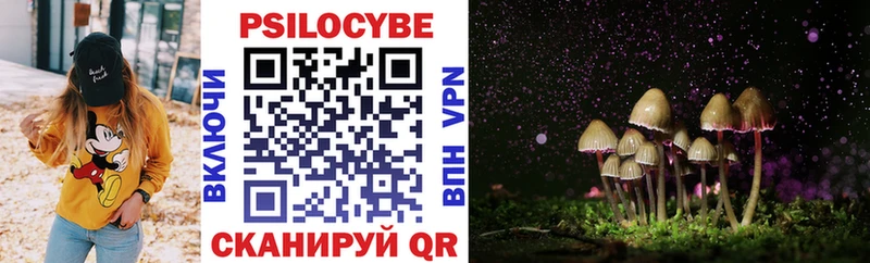 Галлюциногенные грибы Cubensis  МЕГА ссылка  Ессентукская 